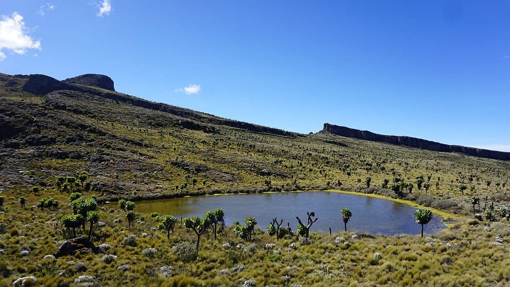 Mount-Elgon-Summit