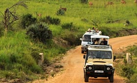 road-trip-experience-in-Uganda