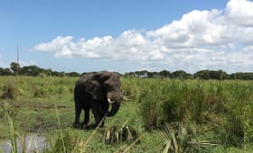 top-tourism-experiences-in-uganda-2024-2025