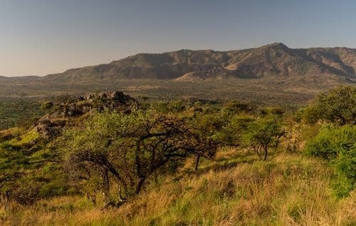 hiking-trekking-mount-morungole