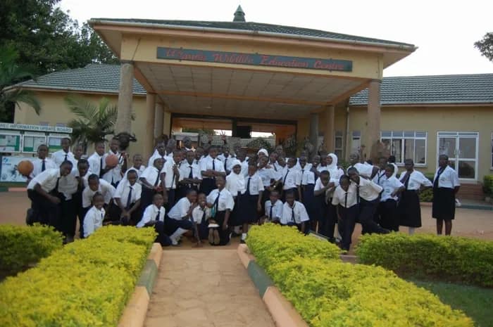 domestic-school-tours-in-uganda