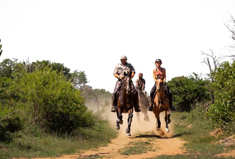 horse-back-riding-safaris