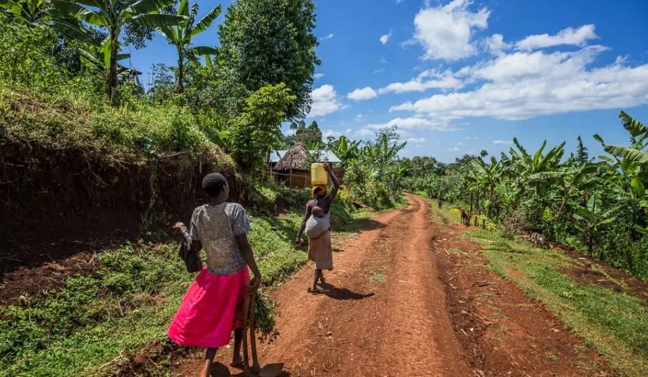 Uganda’s conducive weather and climate