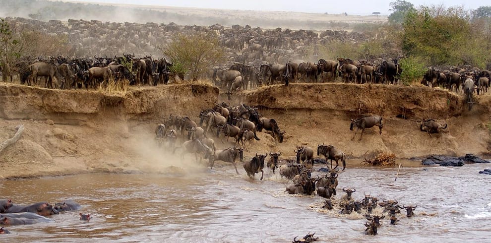 21-Day-East-African-Safari-Extravaganza