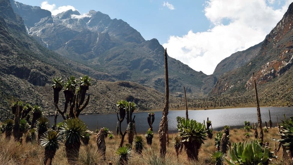 Rwenzori-national-park